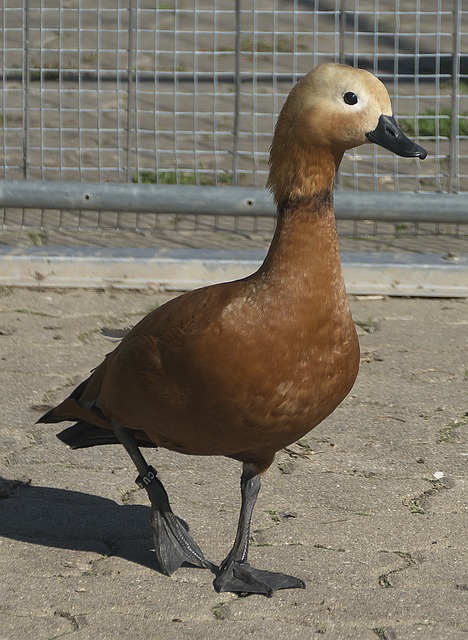 新审视自身