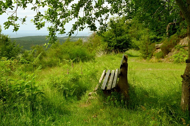 哈登的受伤 哈登的受伤