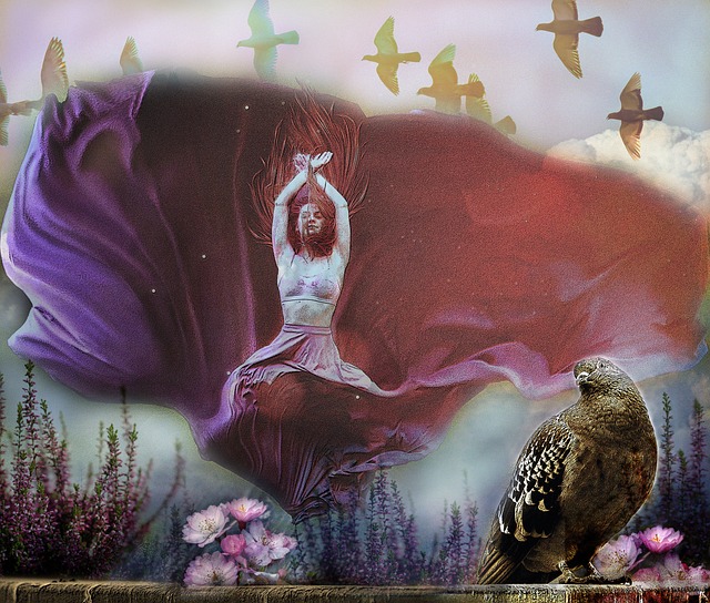 仅展示了罗 仅展示了罗